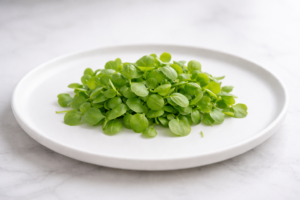 Micro-pousses de basilic utilisées en finition de plat gastronomique