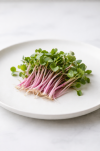 Micro-pousses de radis utilisées en finition de plat gastronomique